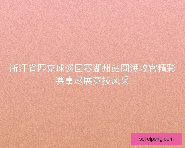 浙江省匹克球巡回赛湖州站圆满收官精彩赛事尽展竞技风采